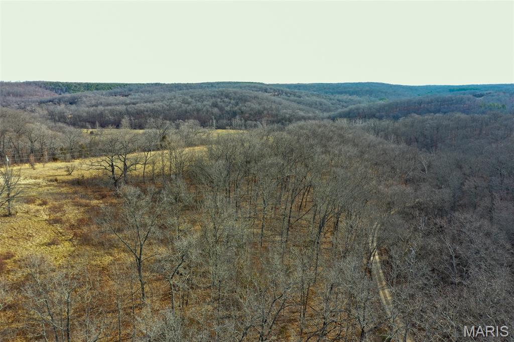 10331 Hopkins Road Potosi, MO 63664 - Photo 4 of 76