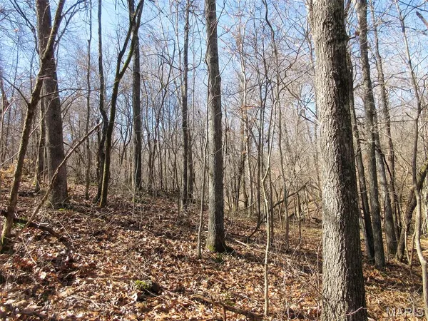 $288,000 | 10331 Hopkins Road, Potosi, MO 63664