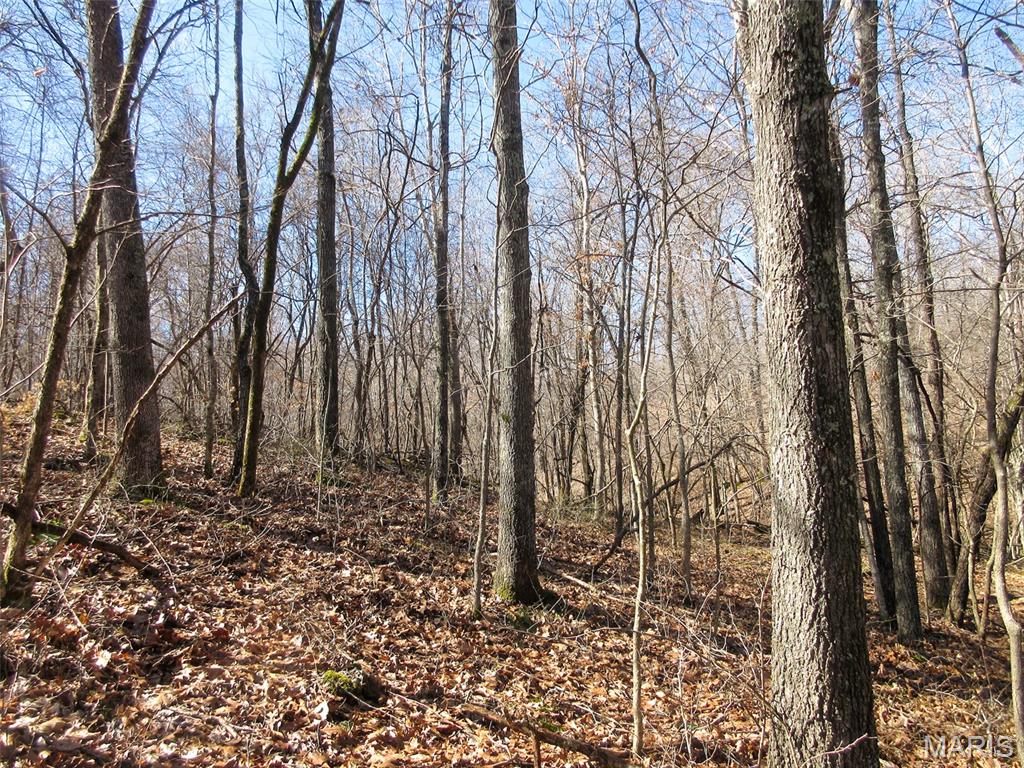 10331 Hopkins Road Potosi, MO 63664 - Photo 42 of 76