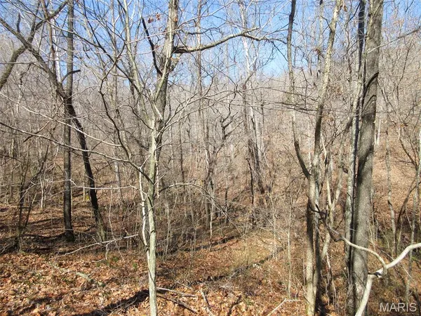 $288,000 | 10331 Hopkins Road, Potosi, MO 63664