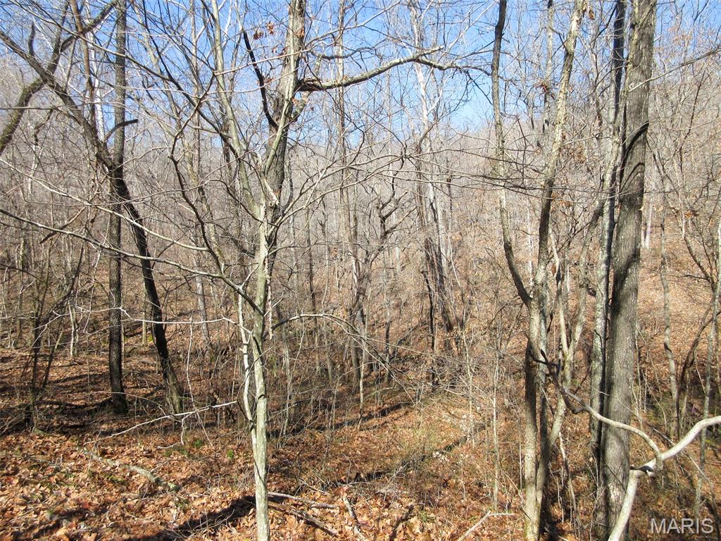 10331 Hopkins Road Potosi, MO 63664 - Photo 43 of 76