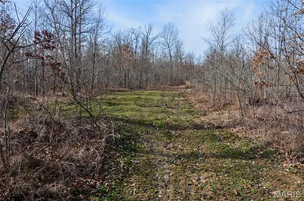 $288,000 | 10331 Hopkins Road, Potosi, MO 63664