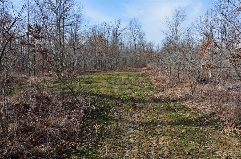 10331 Hopkins Road Potosi, MO 63664 - Photo 45 of 76