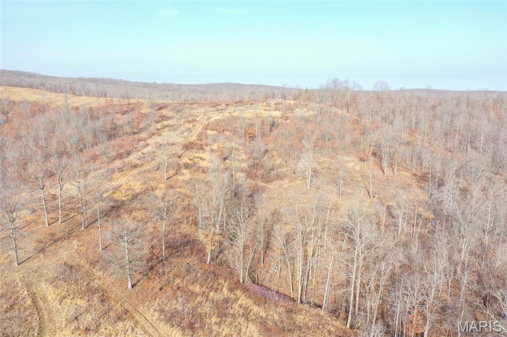 10331 Hopkins Road Potosi, MO 63664 - Photo 46 of 76