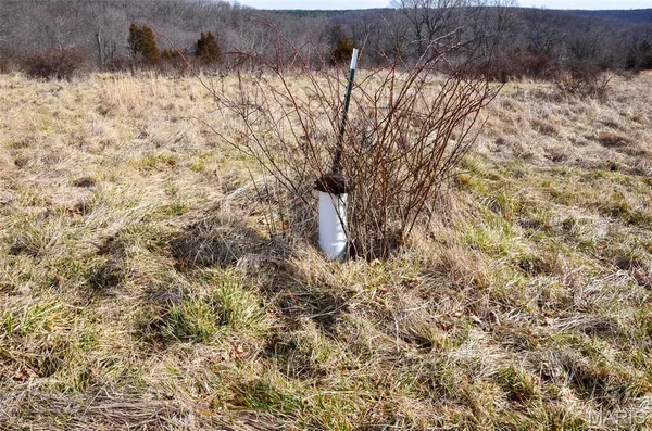 $288,000 | 10331 Hopkins Road, Potosi, MO 63664