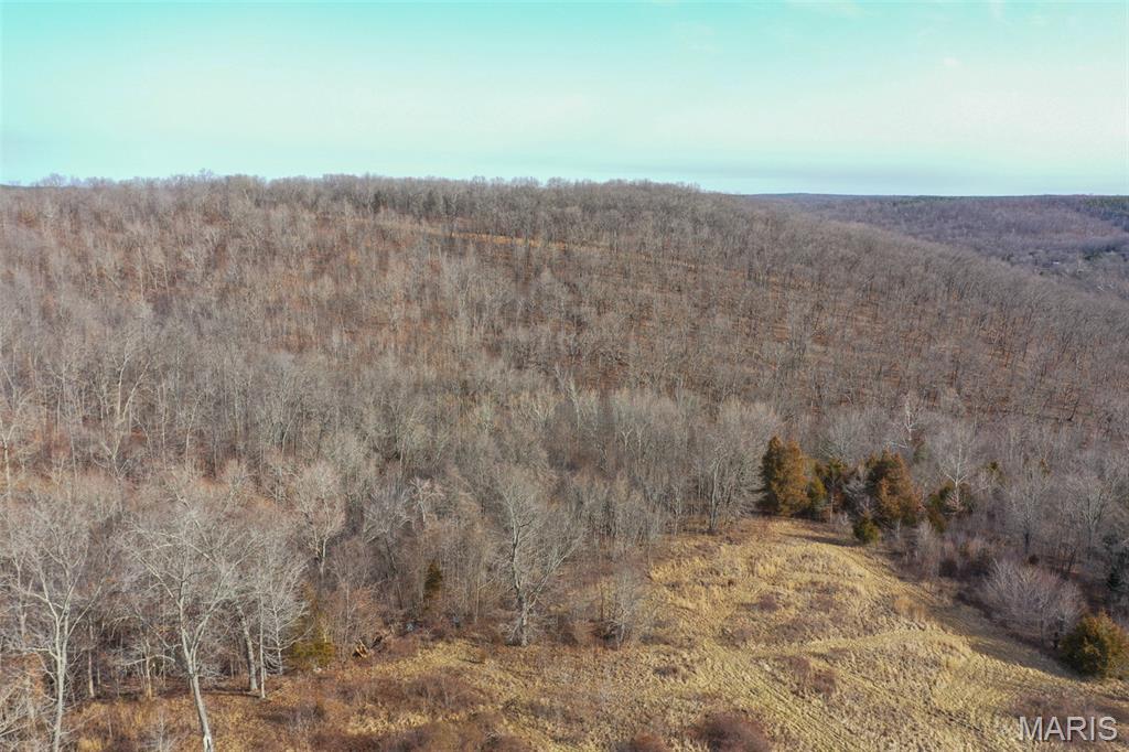 10331 Hopkins Road Potosi, MO 63664 - Photo 5 of 76