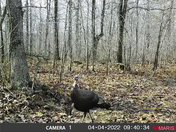 $288,000 | 10331 Hopkins Road, Potosi, MO 63664