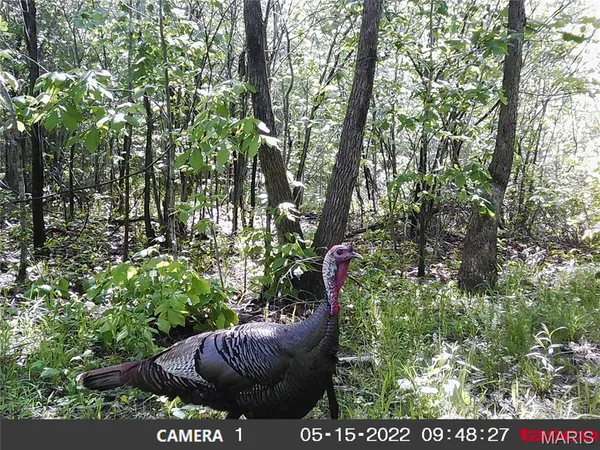 $288,000 | 10331 Hopkins Road, Potosi, MO 63664