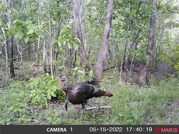 $288,000 | 10331 Hopkins Road, Potosi, MO 63664