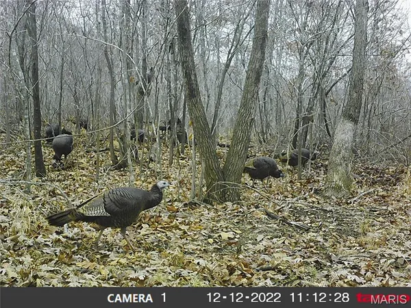 $288,000 | 10331 Hopkins Road, Potosi, MO 63664