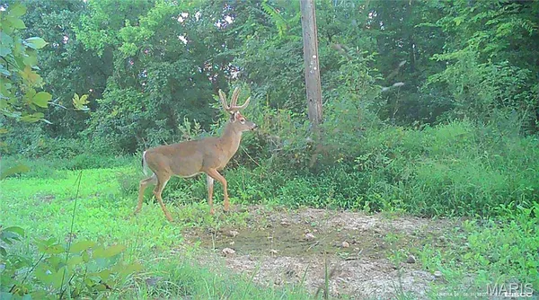 $288,000 | 10331 Hopkins Road, Potosi, MO 63664