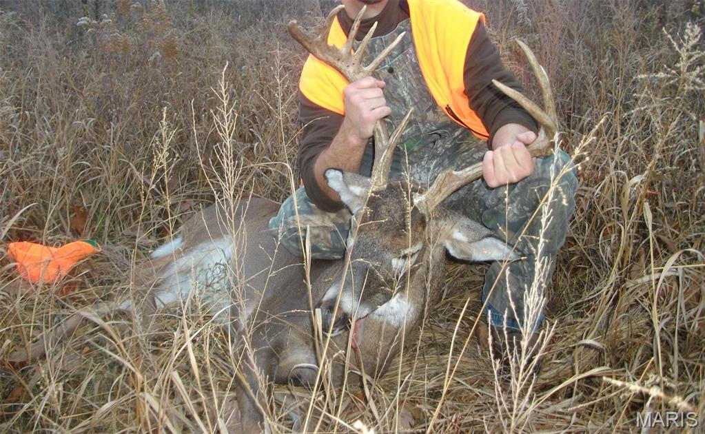 10331 Hopkins Road Potosi, MO 63664 - Photo 59 of 76