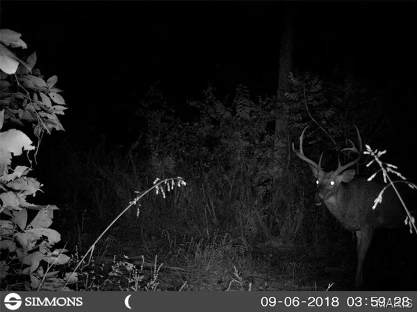 $288,000 | 10331 Hopkins Road, Potosi, MO 63664