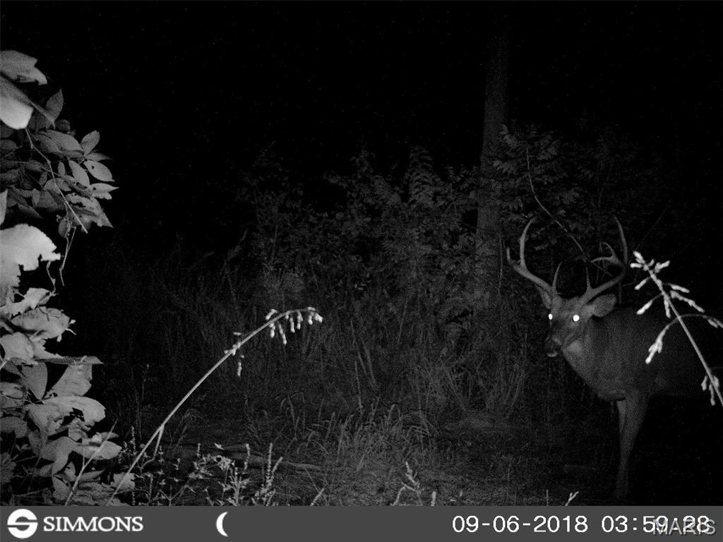 10331 Hopkins Road Potosi, MO 63664 - Photo 60 of 76