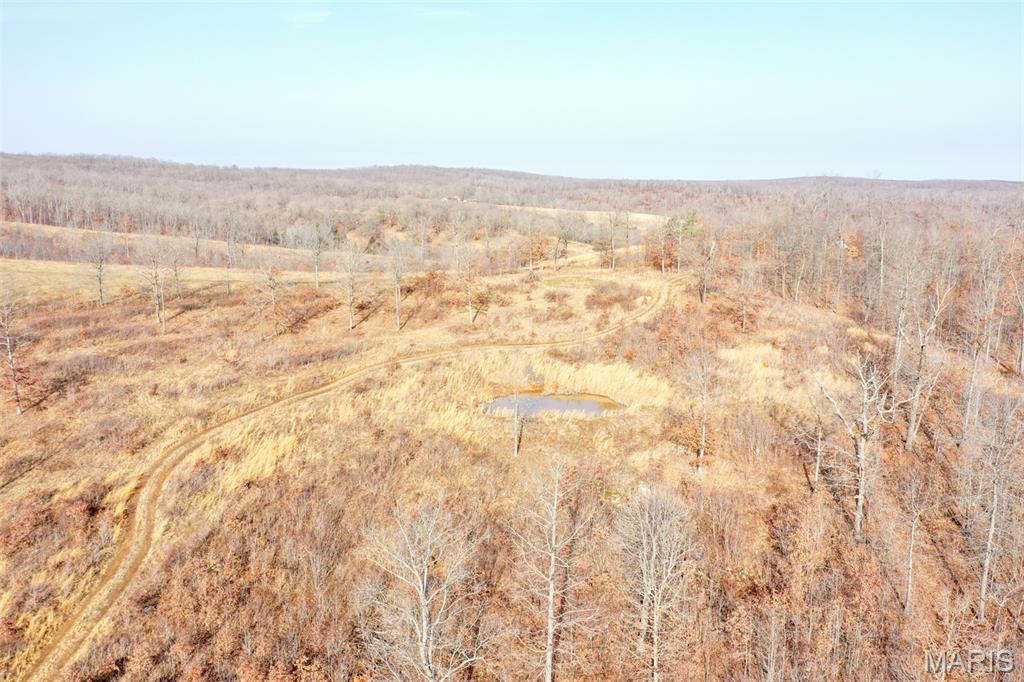 10331 Hopkins Road Potosi, MO 63664 - Photo 6 of 76