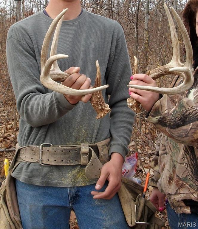 10331 Hopkins Road Potosi, MO 63664 - Photo 61 of 76