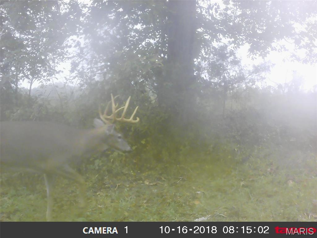 10331 Hopkins Road Potosi, MO 63664 - Photo 62 of 76