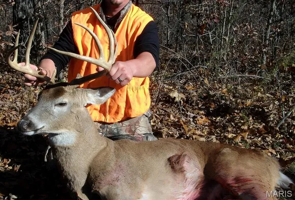 $288,000 | 10331 Hopkins Road, Potosi, MO 63664