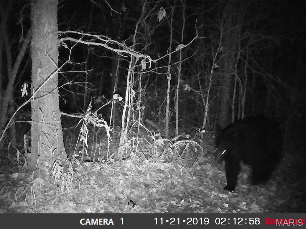 10331 Hopkins Road Potosi, MO 63664 - Photo 64 of 76