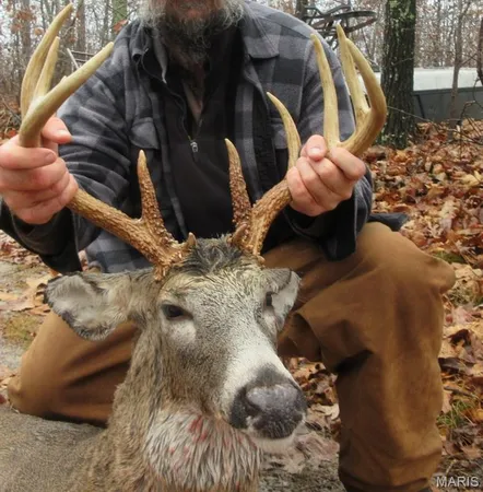 $288,000 | 10331 Hopkins Road, Potosi, MO 63664