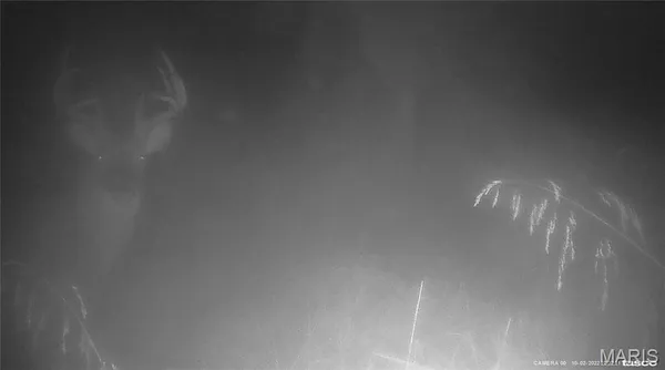 $288,000 | 10331 Hopkins Road, Potosi, MO 63664