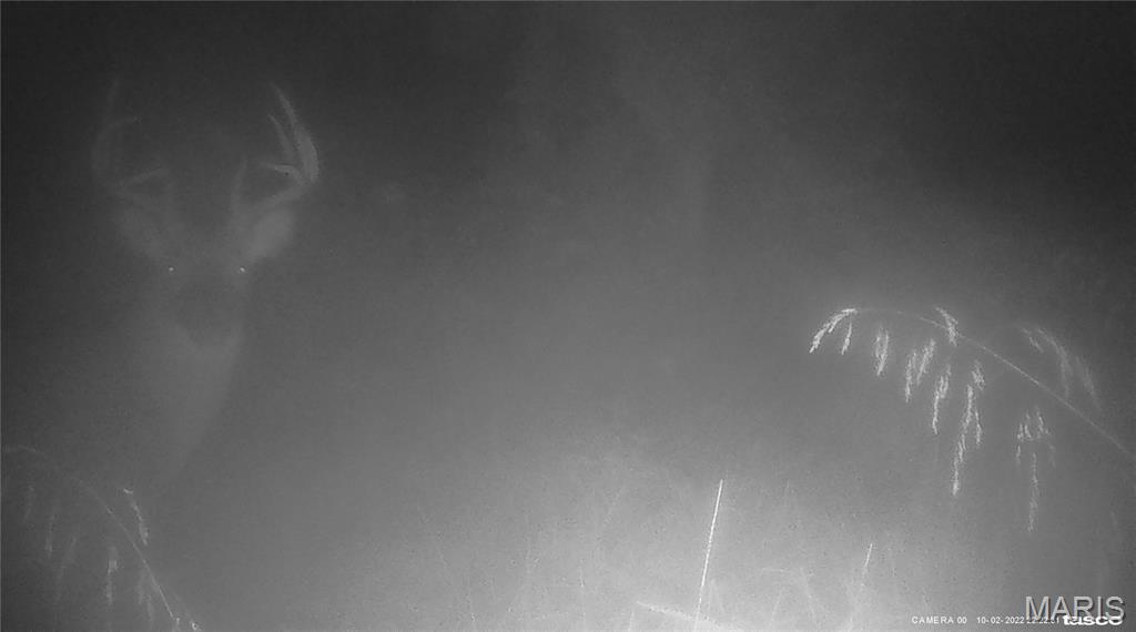 10331 Hopkins Road Potosi, MO 63664 - Photo 67 of 76