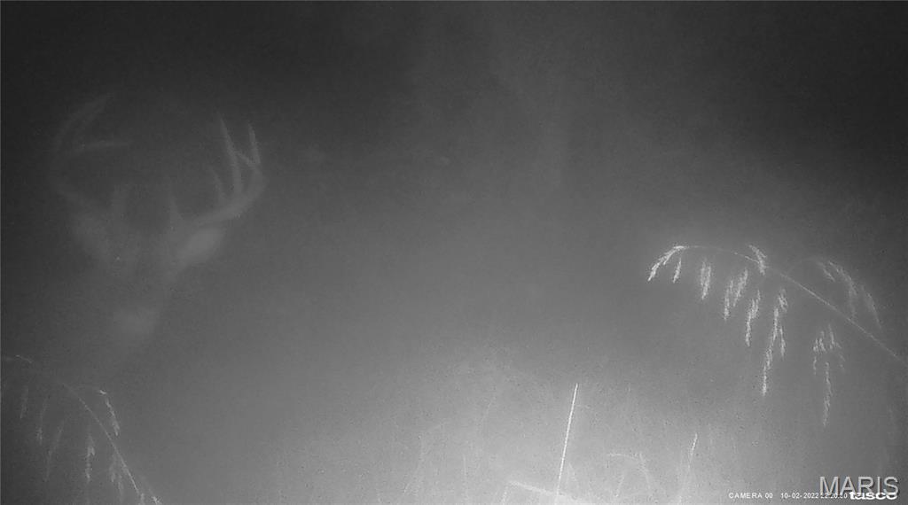 10331 Hopkins Road Potosi, MO 63664 - Photo 68 of 76