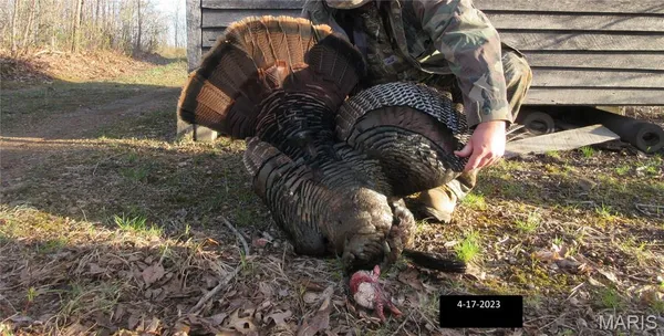 $288,000 | 10331 Hopkins Road, Potosi, MO 63664