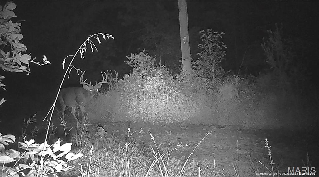 10331 Hopkins Road Potosi, MO 63664 - Photo 72 of 76