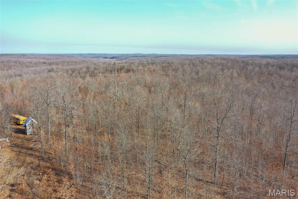 10331 Hopkins Road Potosi, MO 63664 - Photo 8 of 76