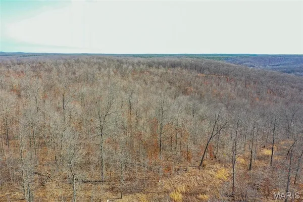 $288,000 | 10331 Hopkins Road, Potosi, MO 63664