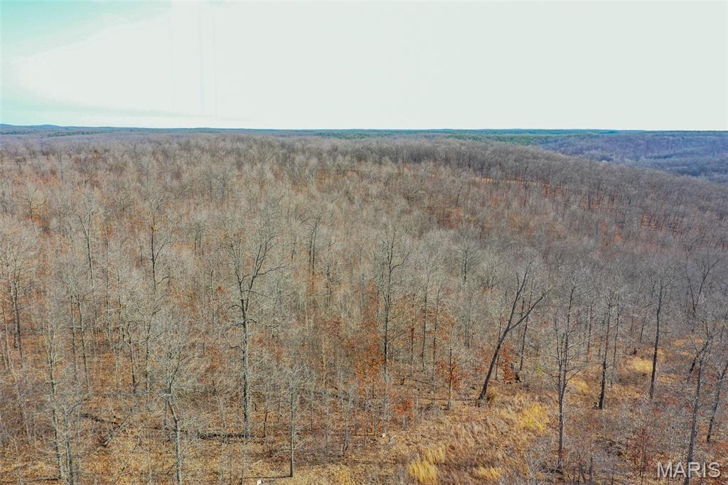 10331 Hopkins Road Potosi, MO 63664 - Photo 9 of 76