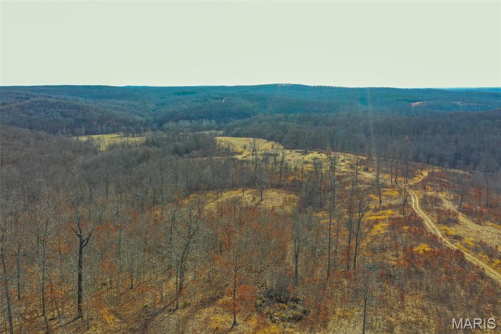 10331 Hopkins Road Potosi, MO 63664 - Photo 10 of 76