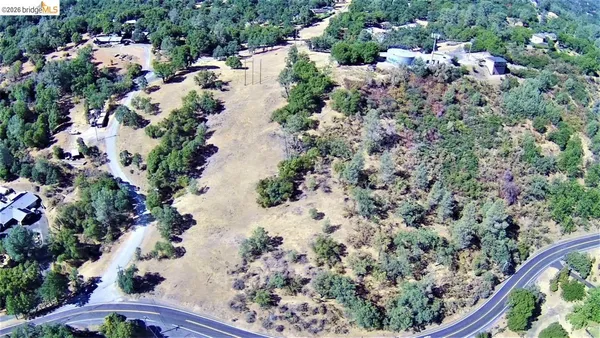 a view of a garden with plants and flowers