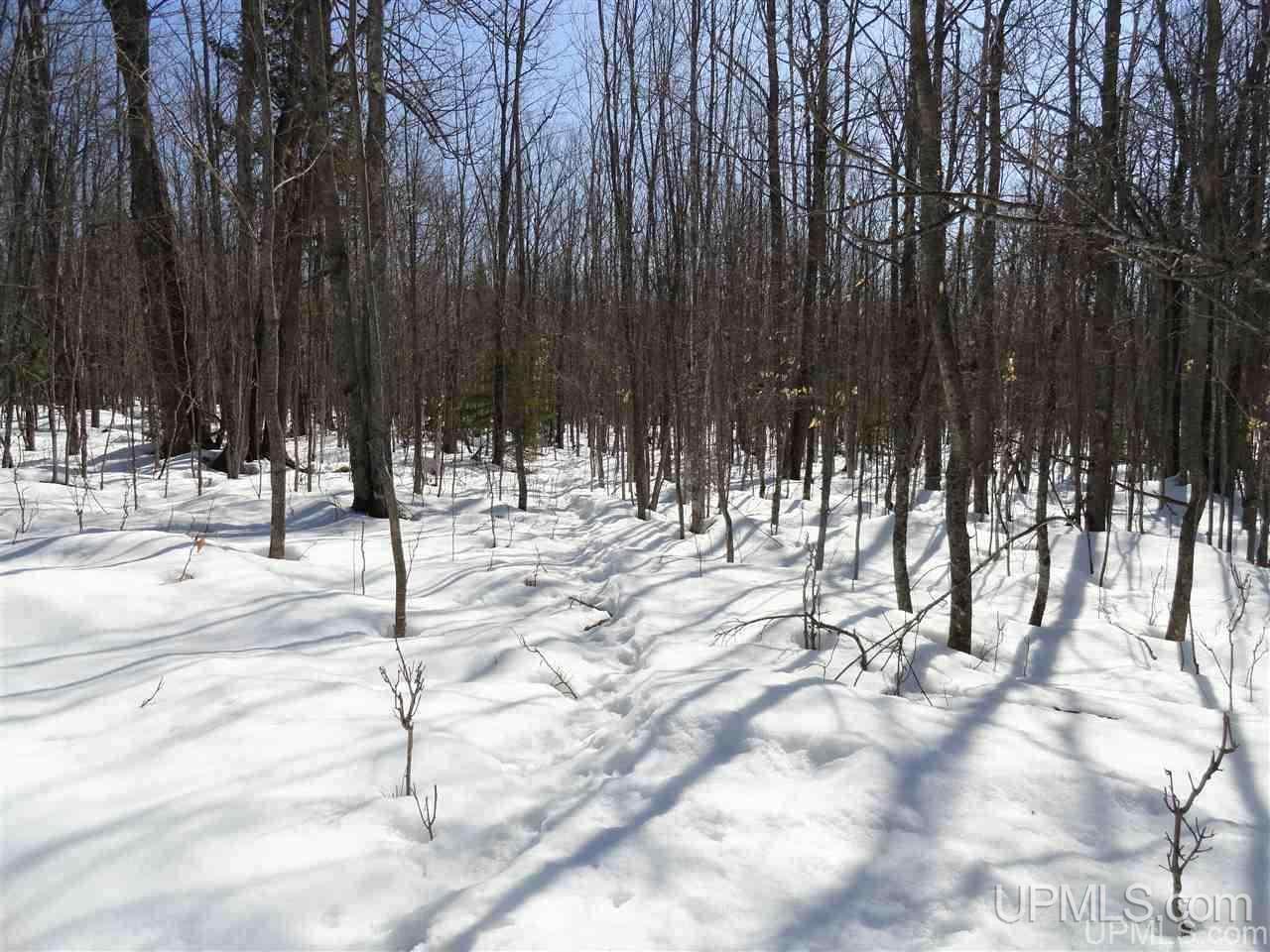 240-acres Leek Road Covington, MI 49919 - Photo 12 of 50
