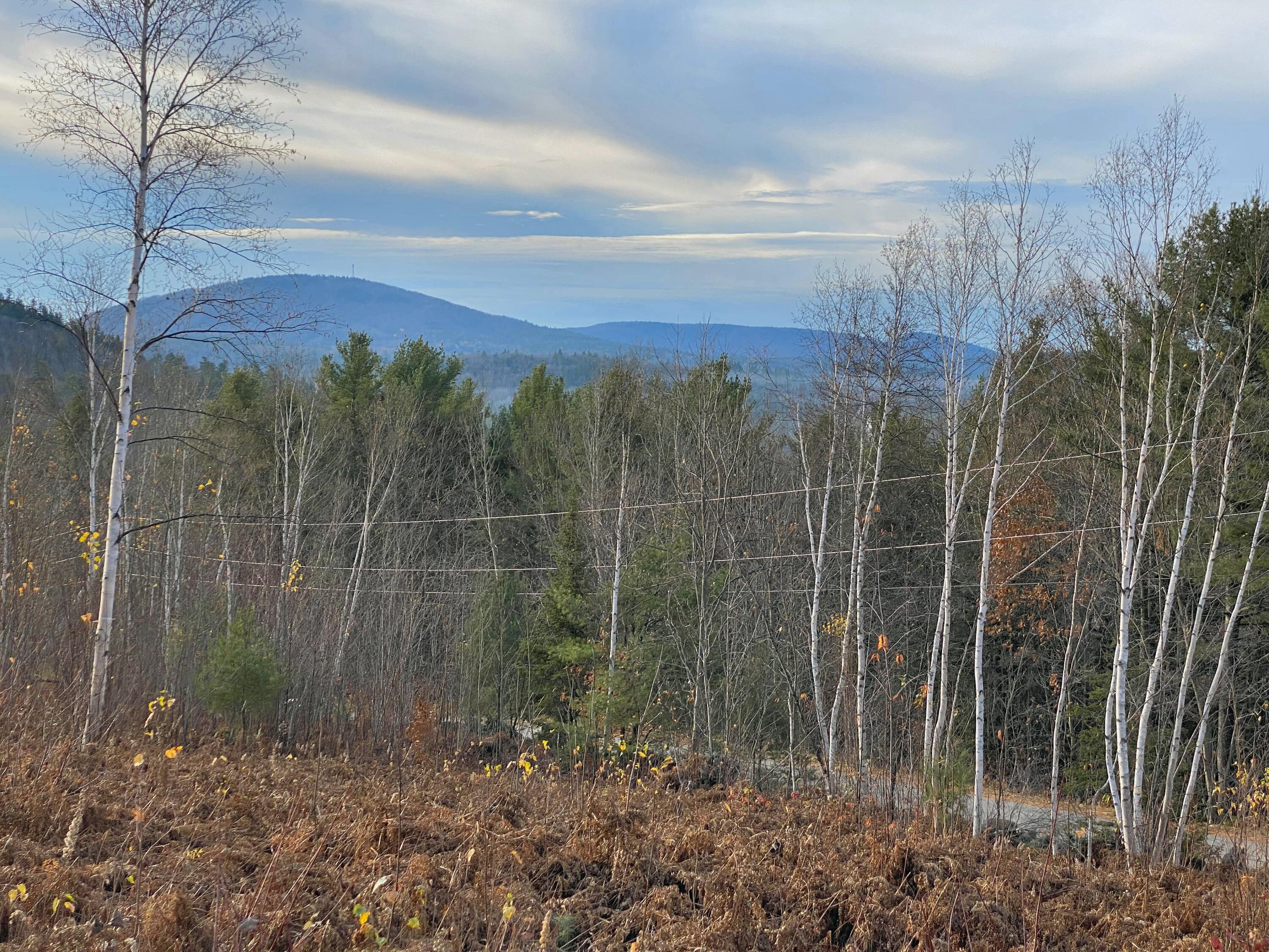 Lot #9 Taylor Smith Road Bethel, ME 04217 - Photo 15 of 22 Mt Abram View