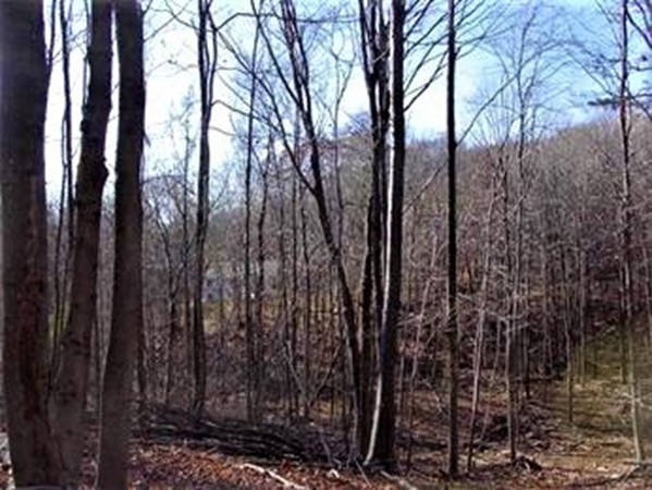 474 Mountain Road Wilbraham, MA 01095 - Photo 2 of 3