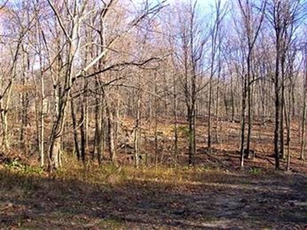 474 Mountain Road Wilbraham, MA 01095 - Photo 3 of 3