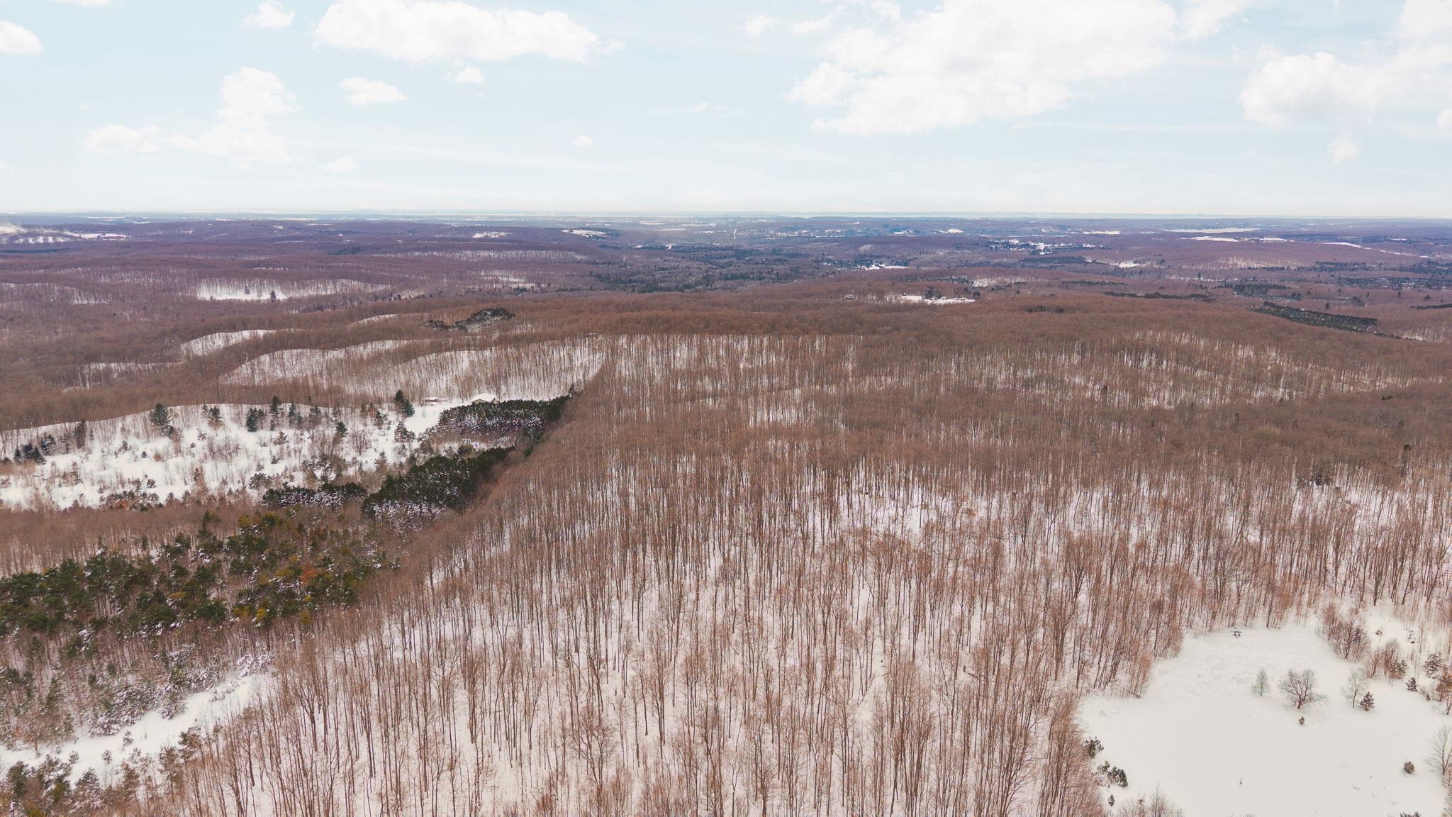 0 Stark Road, Unit LOT: 17 Mancelona, MI 49659 - Photo 10 of 22