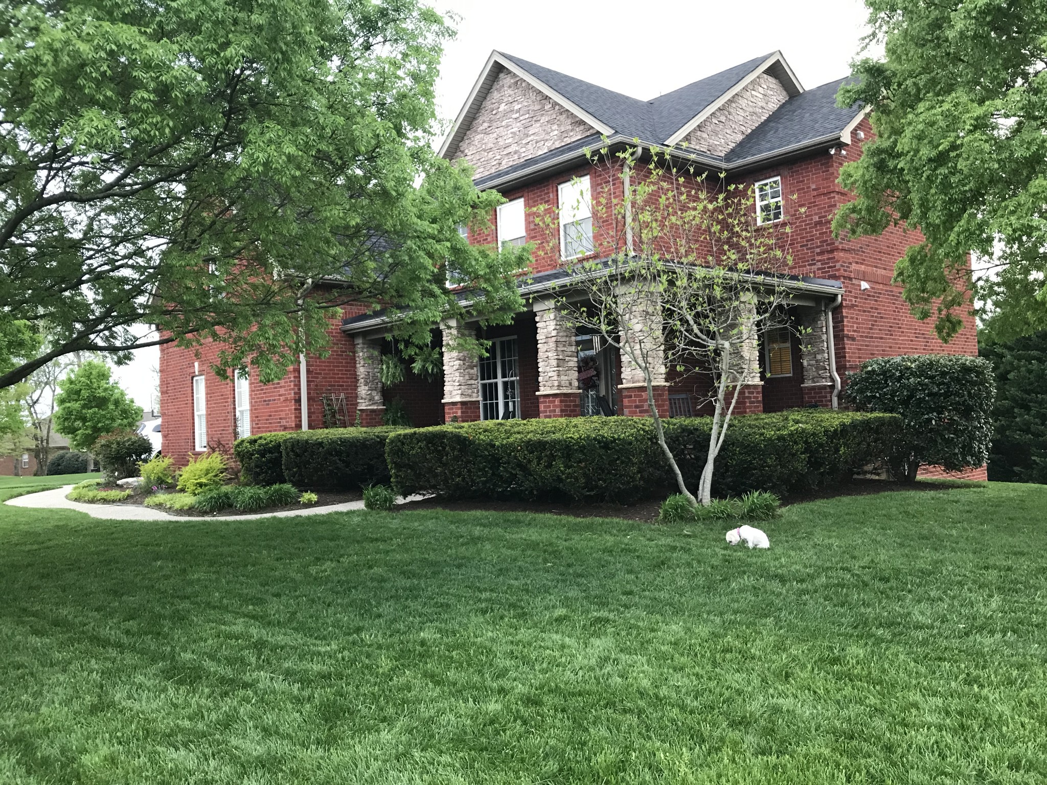 1202 White Rock Road Spring Hill, TN 37174 - Photo 2 of 2 a view of a house with a backyard and a tree