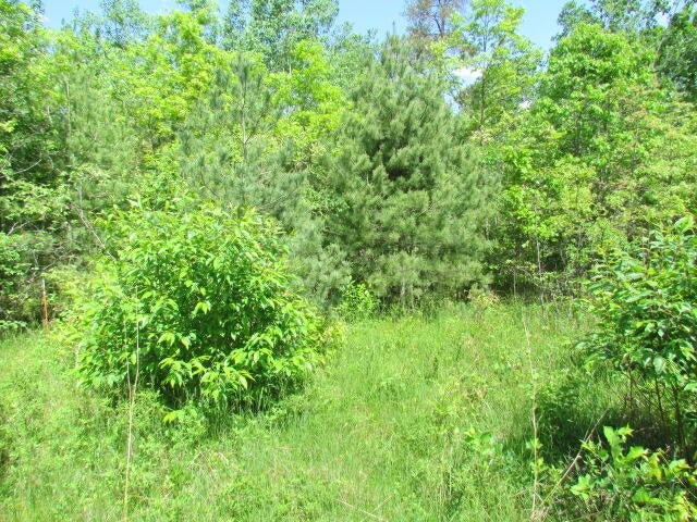 Wilson Way Lewiston, MI 49756 - Photo 10 of 13 Gallery Image 10