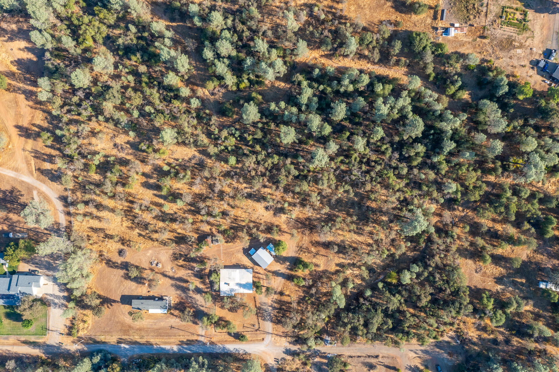 17594 Oly Way Anderson, CA 96007 - Photo 28 of 29 a view of a tree