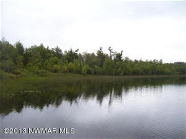 Hagali Road Northeast Tenstrike, MN 56683 - Photo 1 of 1 Gallery Image 1