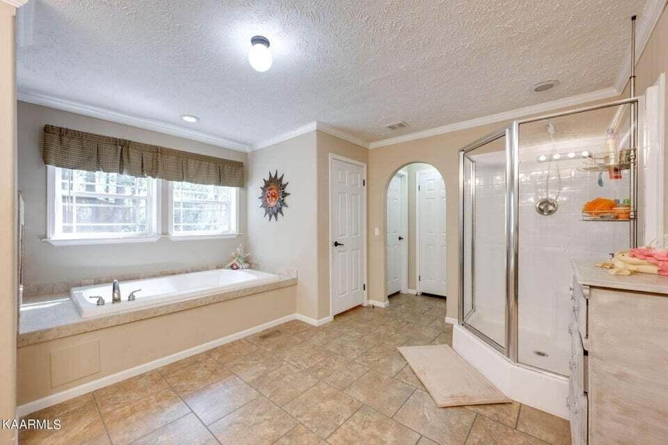 86 Chestnut Ridge Road Spring City, TN 37381 - Photo 17 of 59 Gallery Image 17