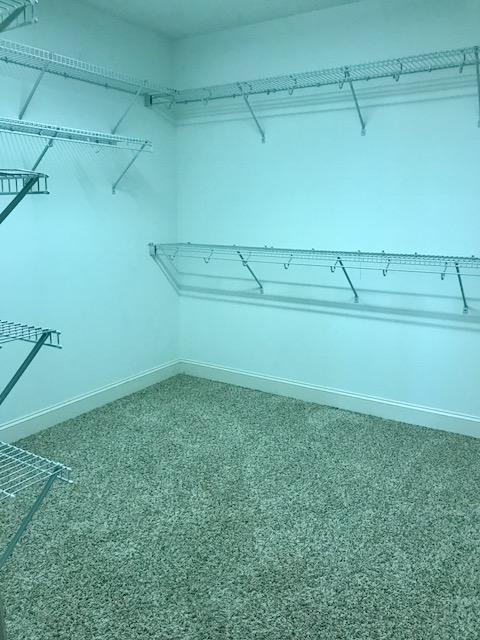 2314 Rivendell Lane Chattanooga, TN 37421 - Photo 23 of 26 large walk in closet