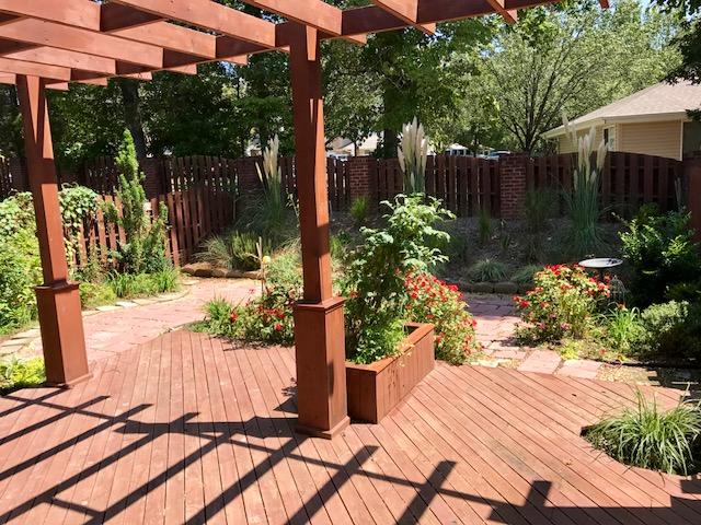 Back yard