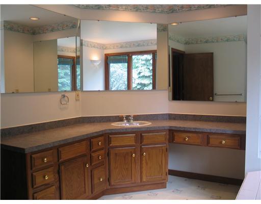 610 Thomas Road Eighty Four, PA 15330 - Photo 11 of 18 Master Bath/Spa.