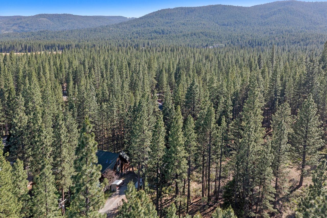 305 Mt View Road Calpine, CA 96124 - Photo 40 of 50