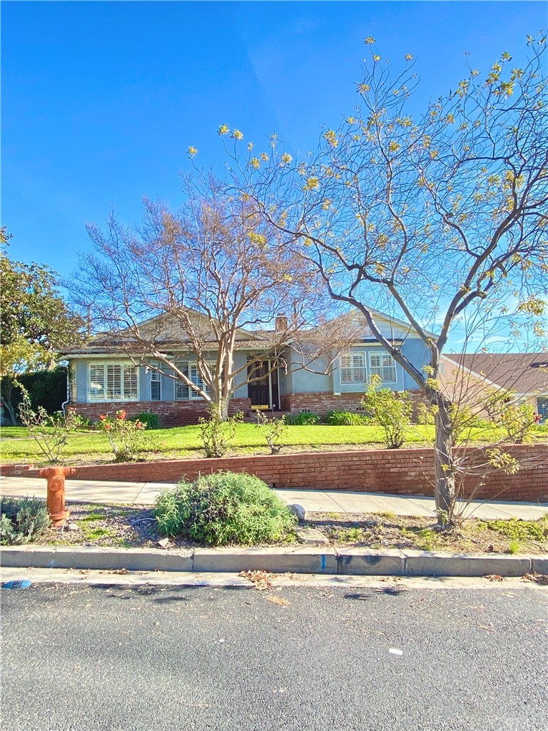 948 Cambridge Drive Burbank, CA 91504 - Photo 1 of 36 a view of a large trees in front of a building