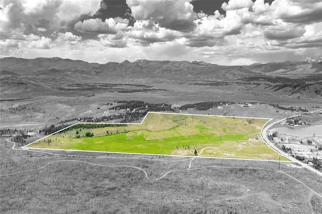 a view of a swimming pool with a yard and trees in the background